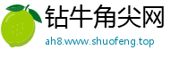 钻牛角尖网